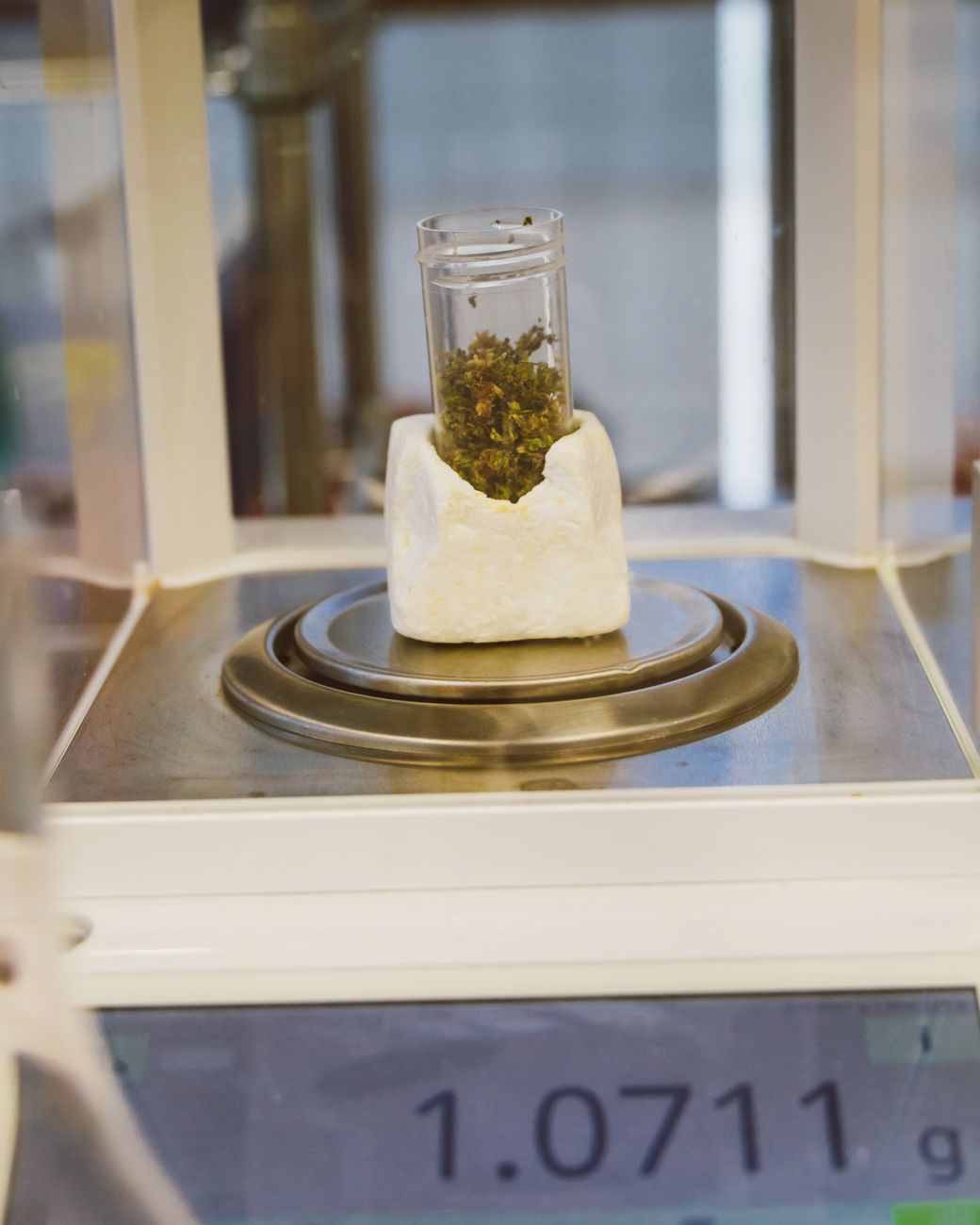 Close-up of cannabis sample placed on a precision scale for accurate measurement.