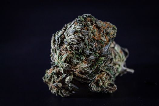 Detailed image of a cannabis bud against a black background, highlighting texture and detail.