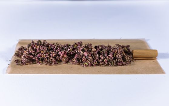 Purple cannabis buds laid out on rolling paper for preparation.