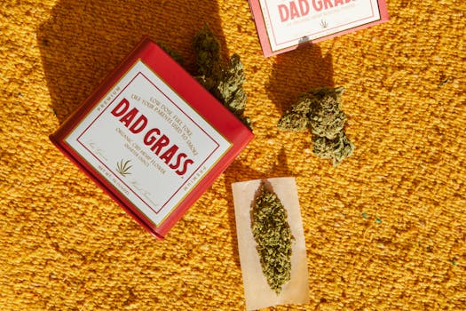 Organic CBD hemp flower package 'Dad Grass' on a colorful rug.