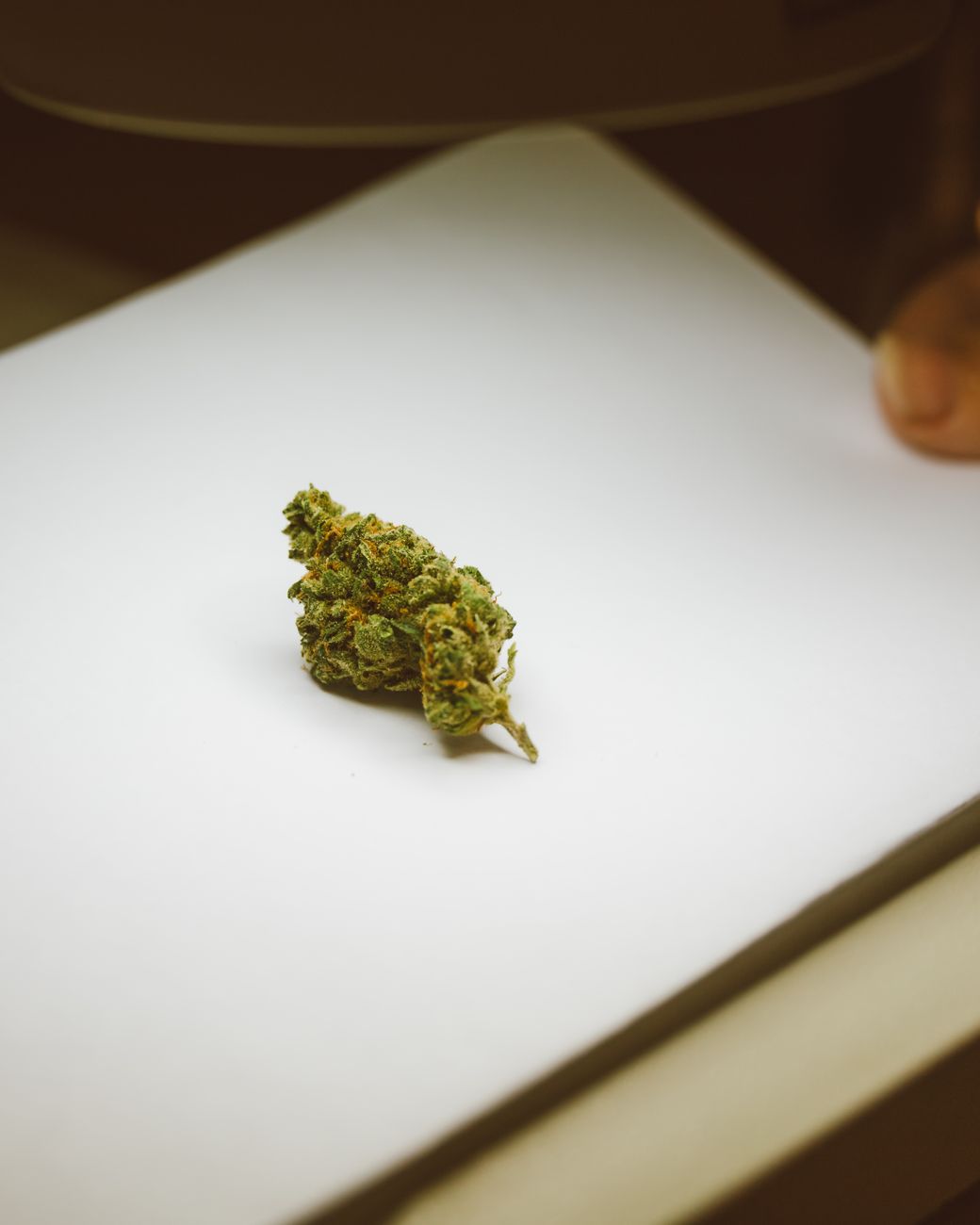 Close-up of a cannabis bud on a plain white surface, highlighting texture and color.