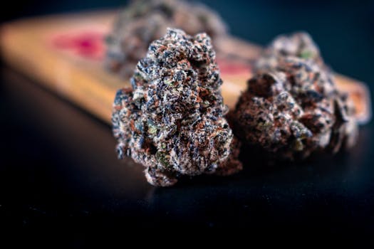 Detailed close-up of cannabis buds with vibrant colors on a dark surface, perfect for health or lifestyle topics.