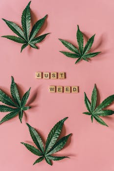 Flat lay of cannabis leaves and scrabble tiles spelling 'Just Weed' on a pink background.